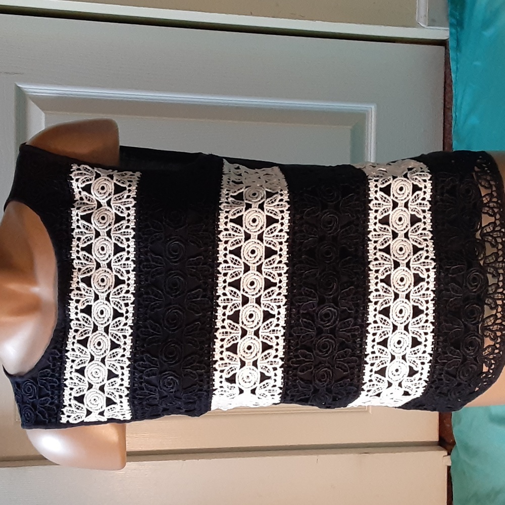 ANN TAYLOR  NAVY AND WHITE LACE TOP PETITE MEDIUM - Picture 2 of 9